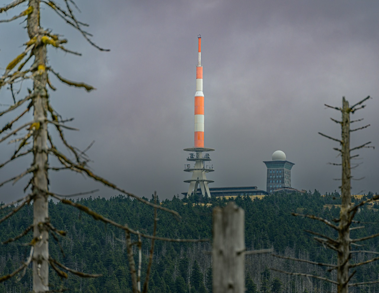 Harz 2026
