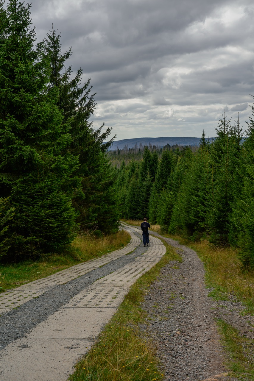 Harz 2026