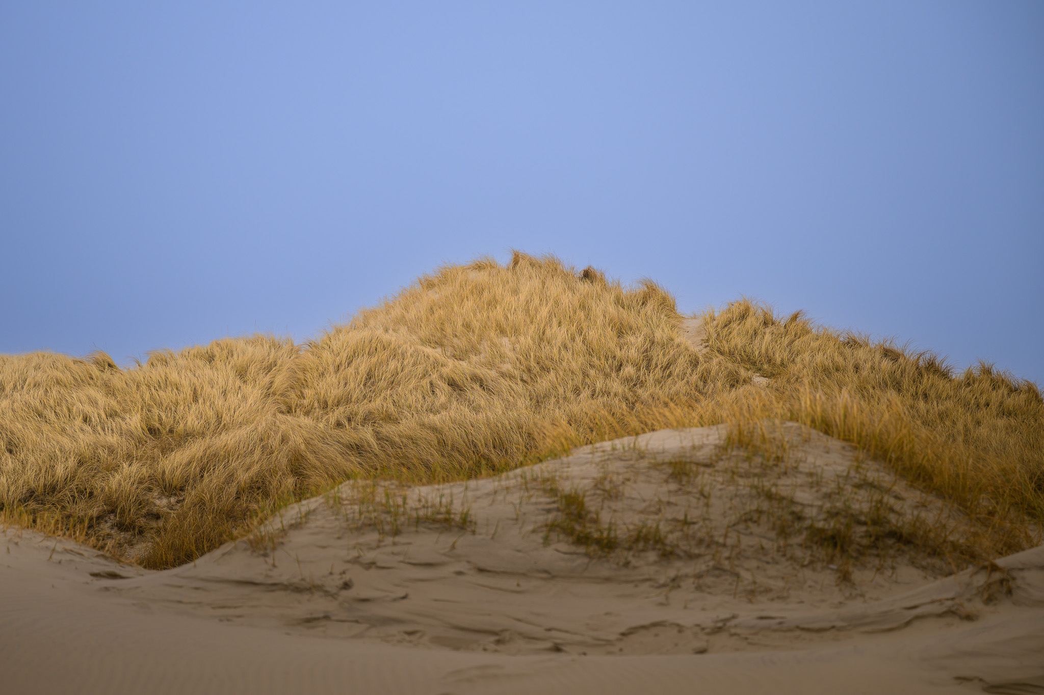 Hvide Sande