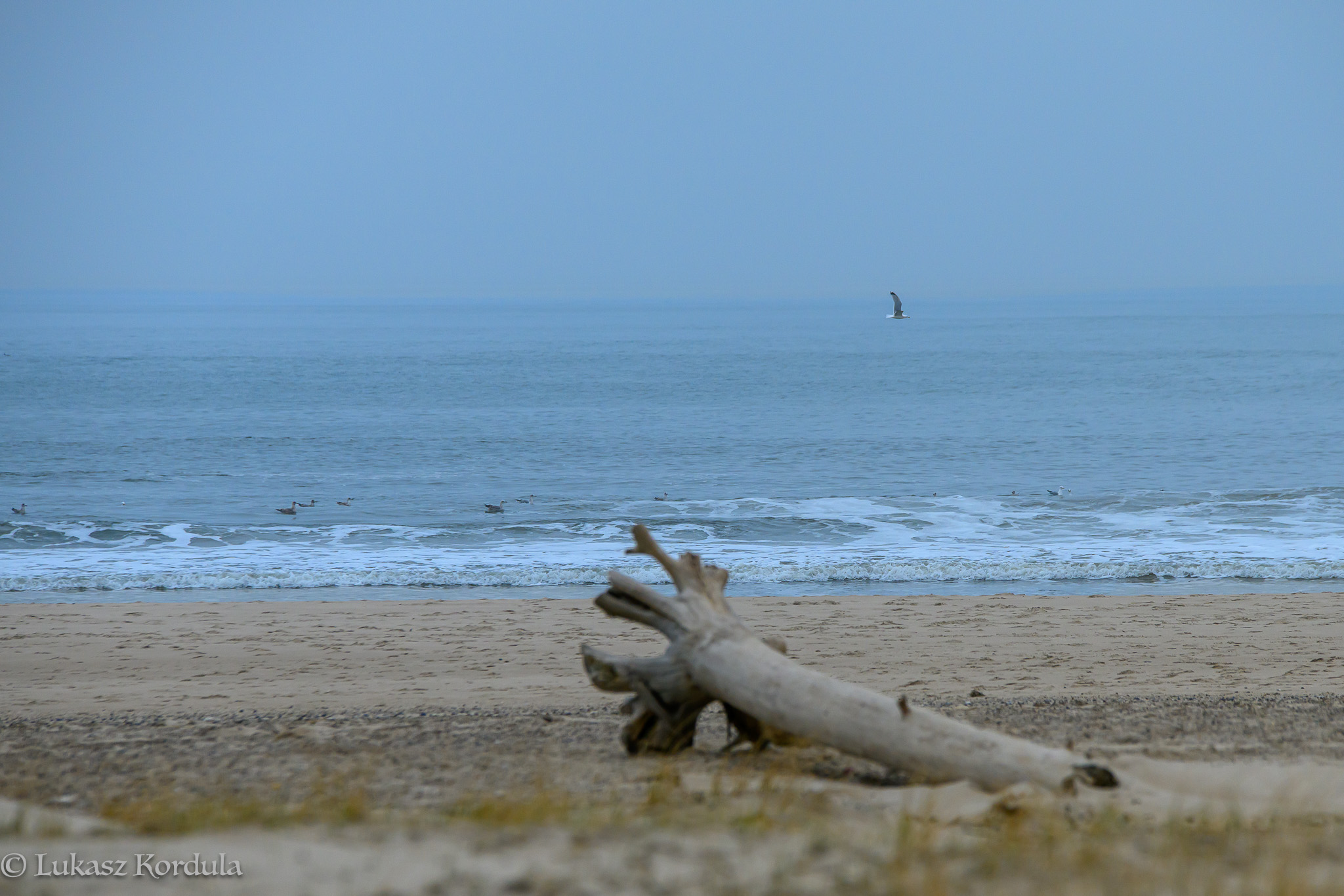 Hvide Sande