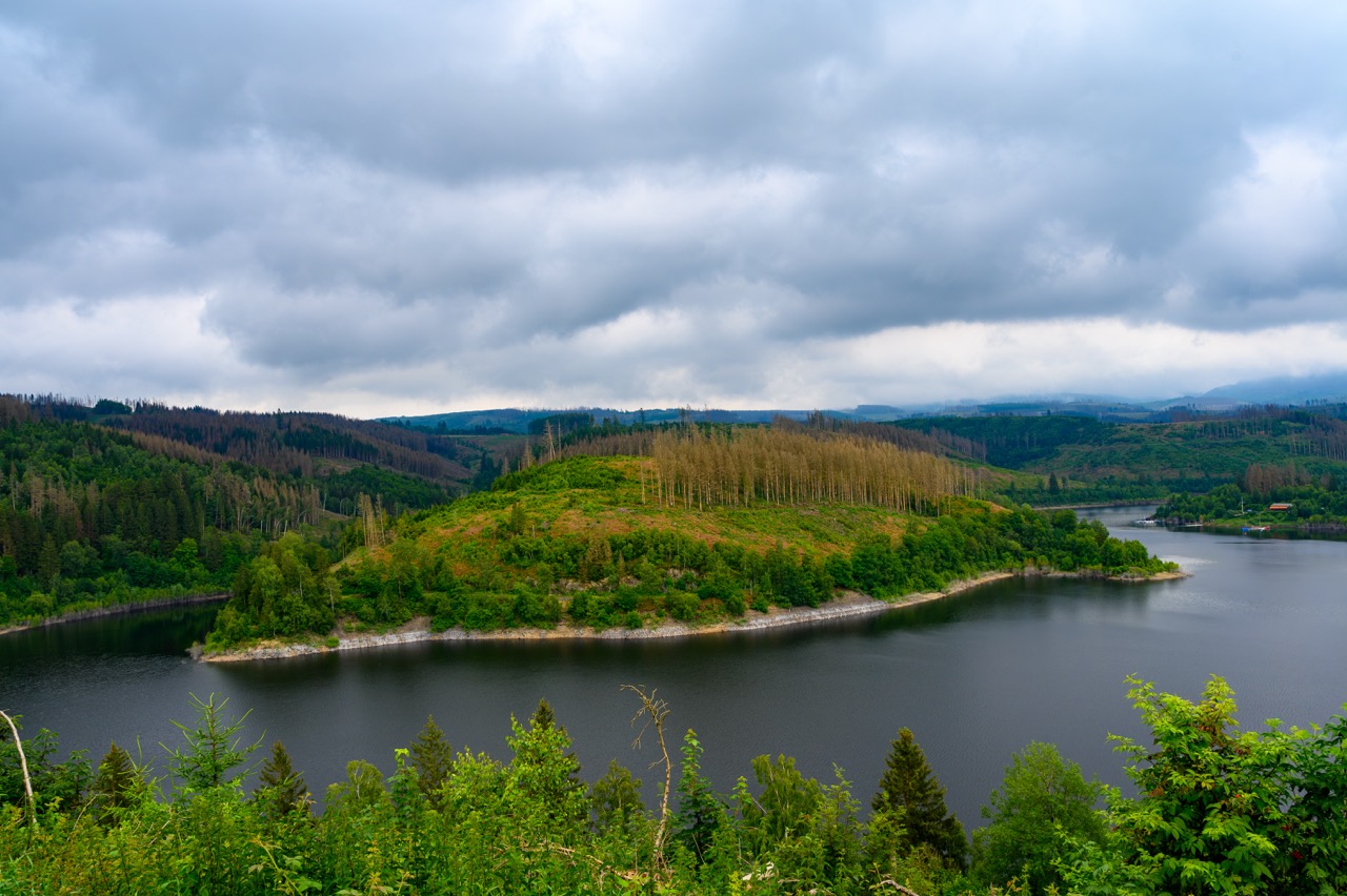 Harz 2024