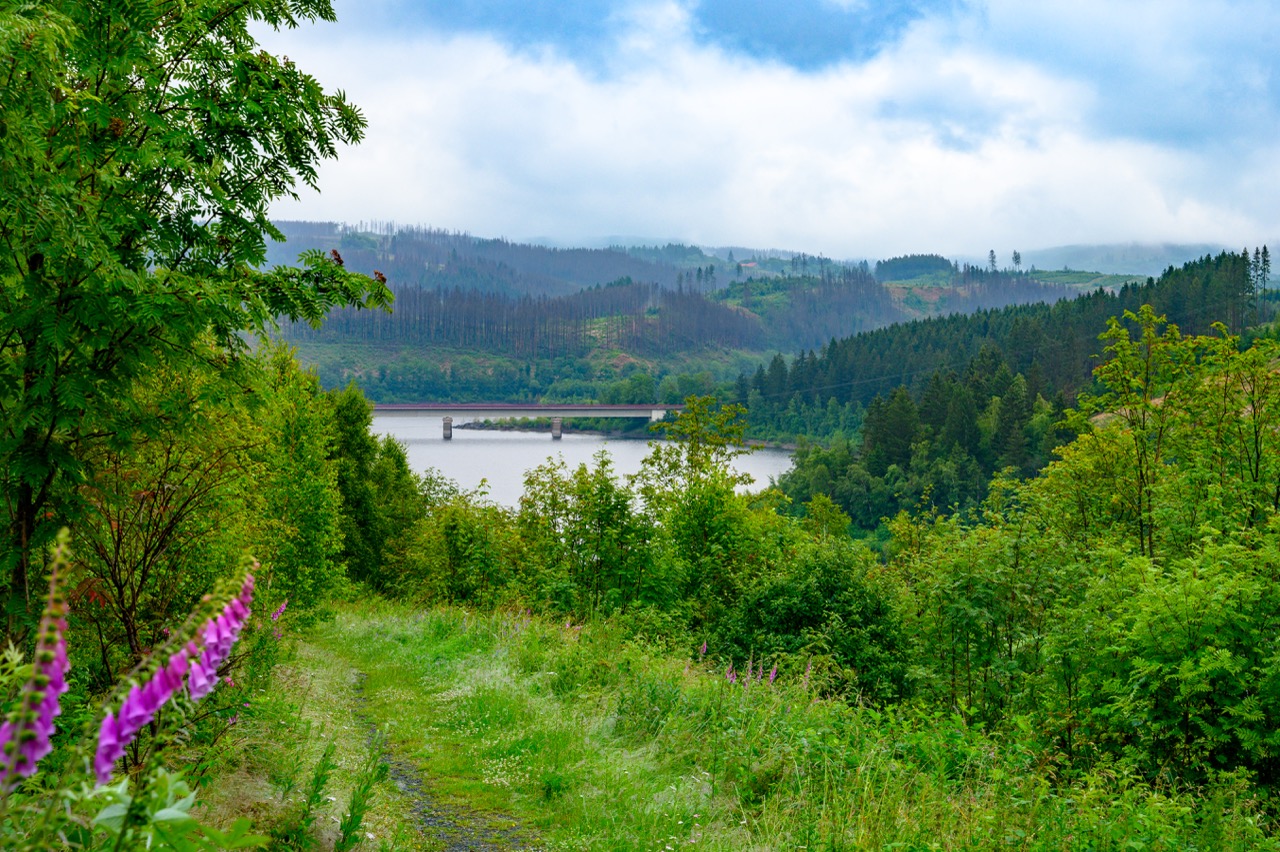 Harz 2024