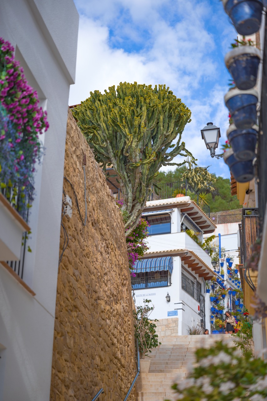 Alicante 2025