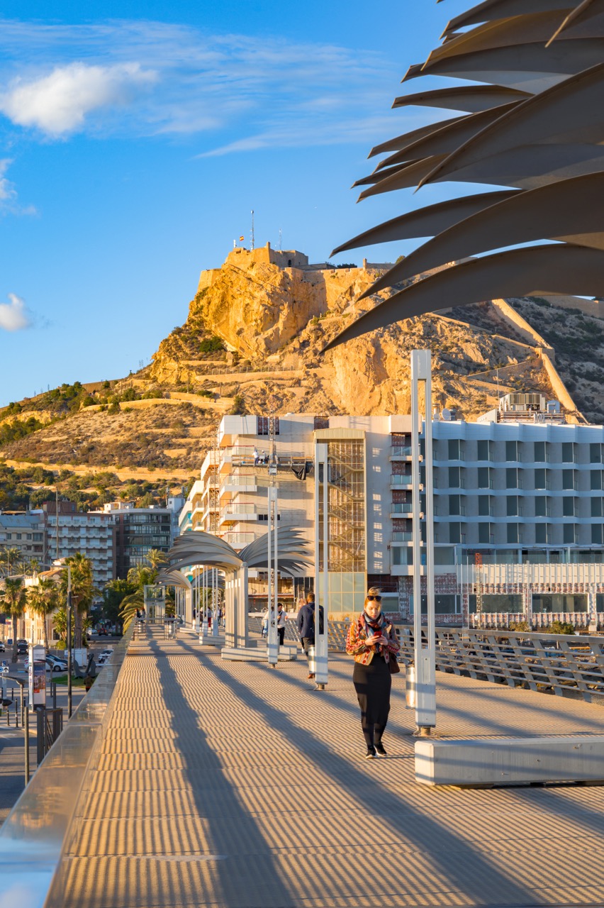Alicante 2025