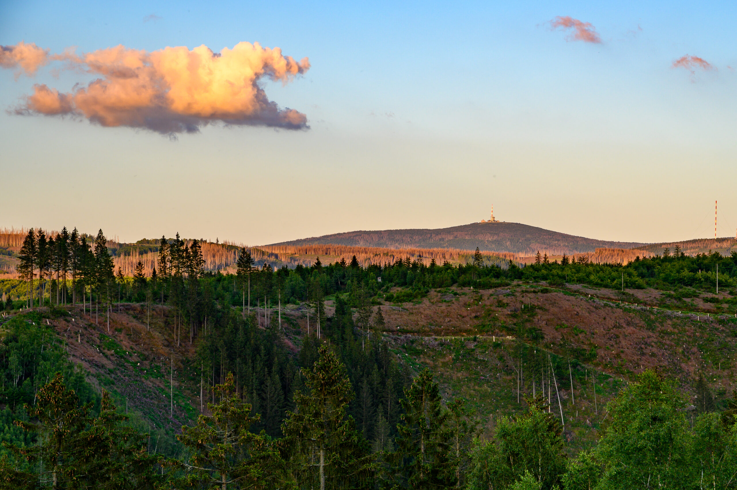 Harz 2024