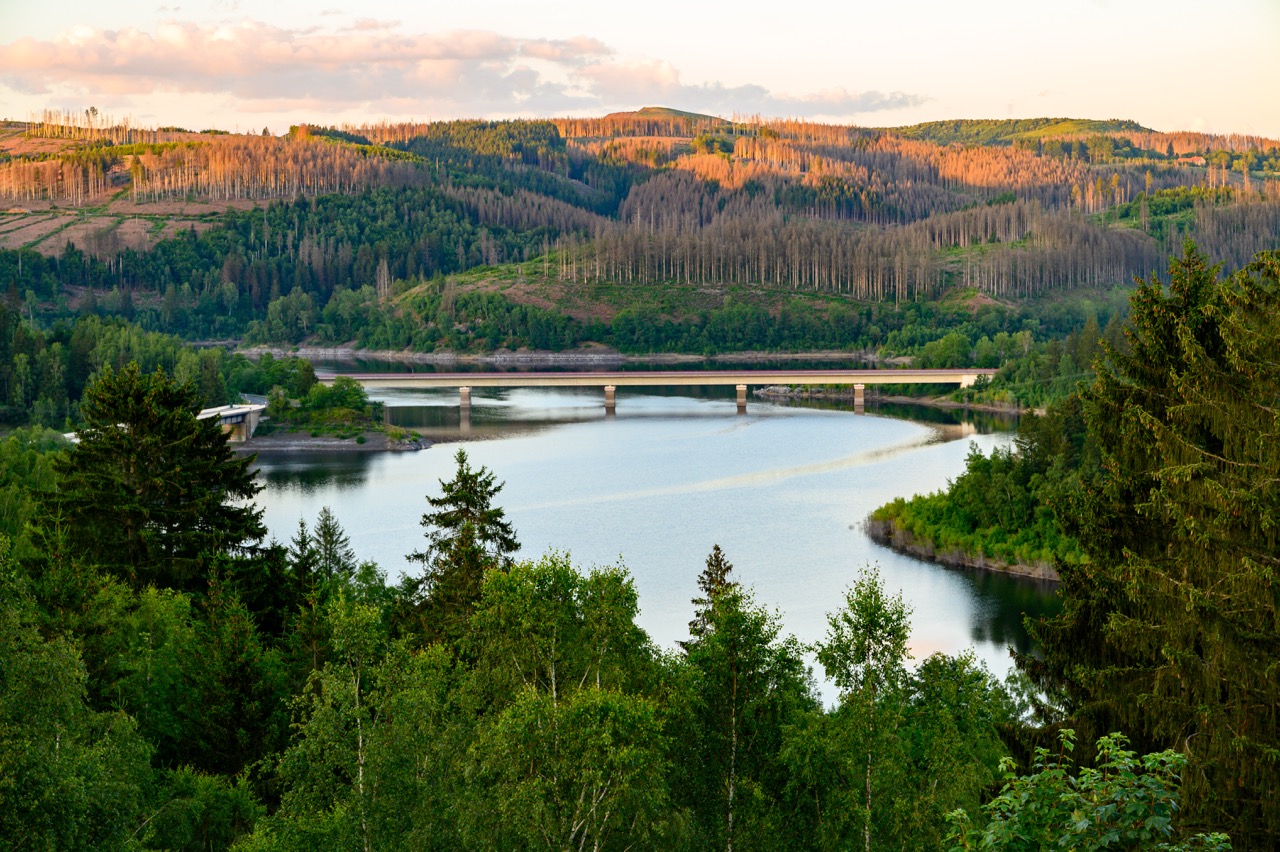 Harz 2024